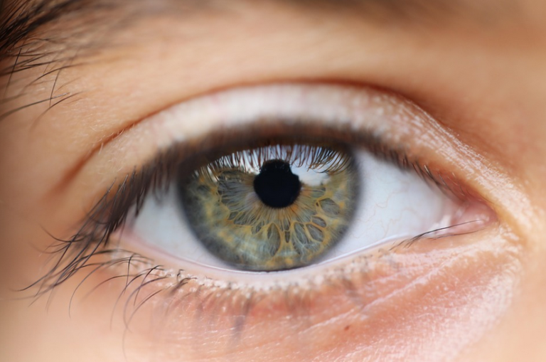 Eye ball