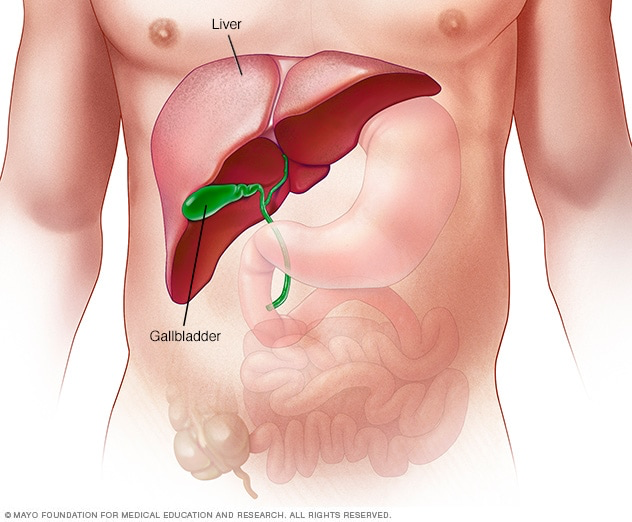 Liver Disease, Do You Know What It Is?